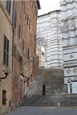 b13 siena 2993p